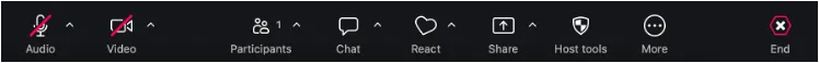 Zoom menu "Share"