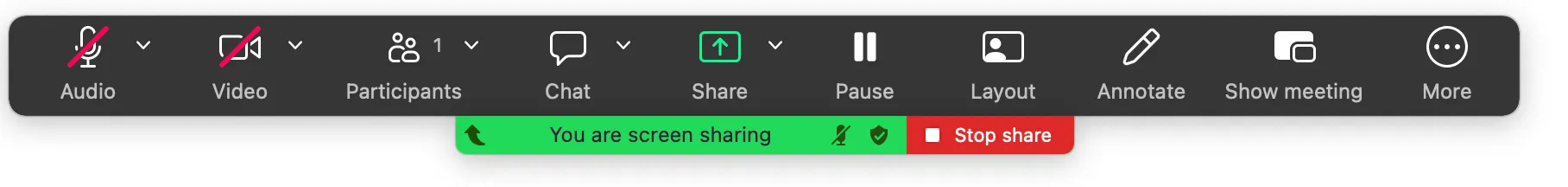Screen sharing controls